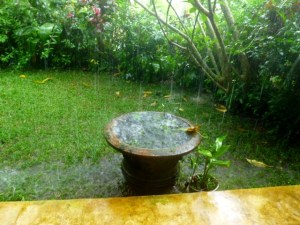 The lotus pond planter overflows