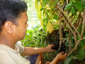 A piece of plastic is secured below the cut area and secured with string