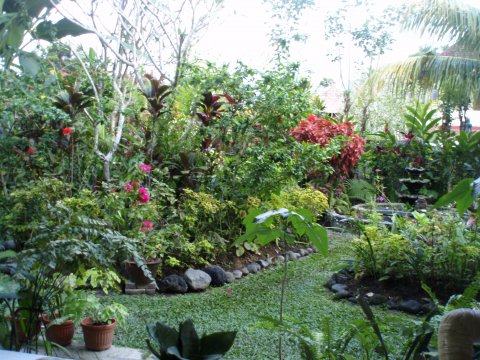 Julies garden
